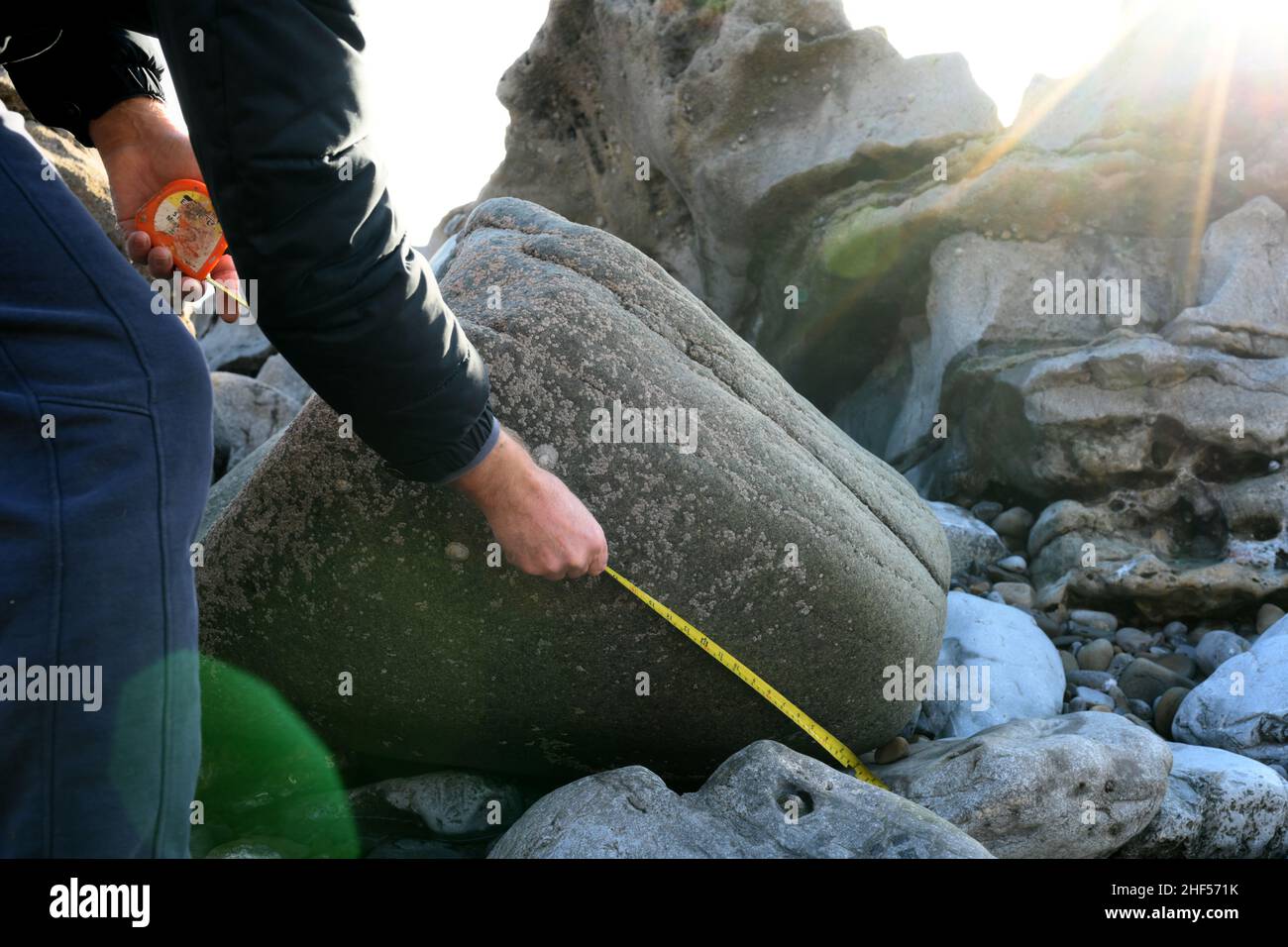 Green dolerite erratic carried on Irish Sea Glacier from Preseli to Mumbles c 19000 years ago. Stone such as this was used to construct Stonehenge. Stock Photo