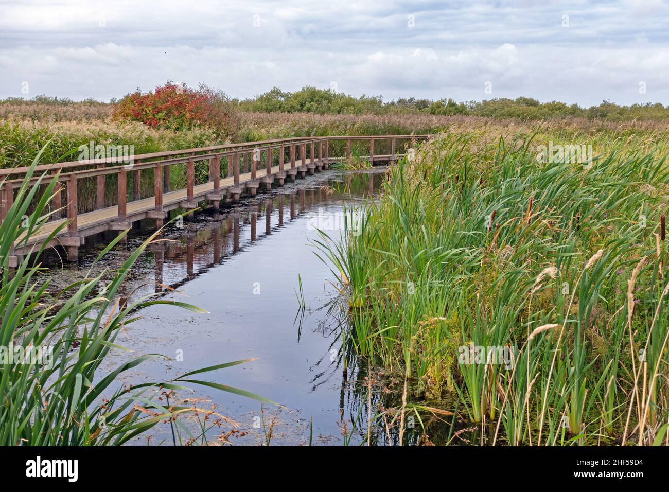 Danish national park hi-res stock photography and images - Alamy