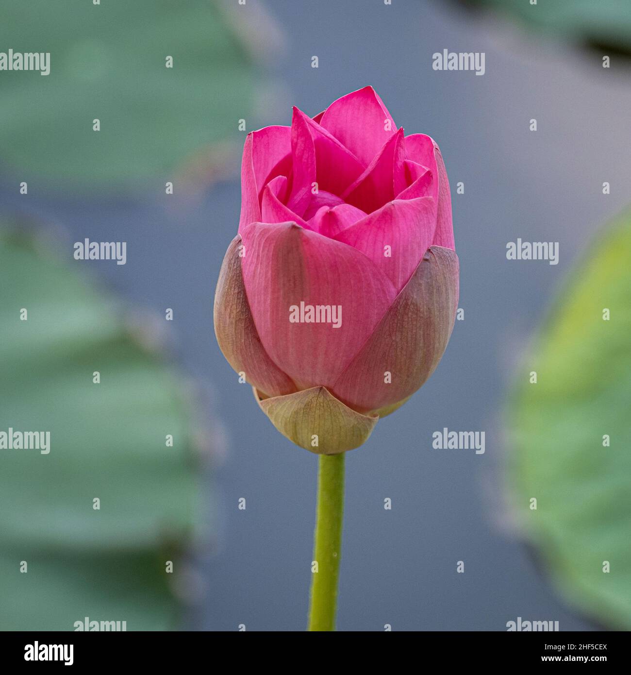 My Image 9