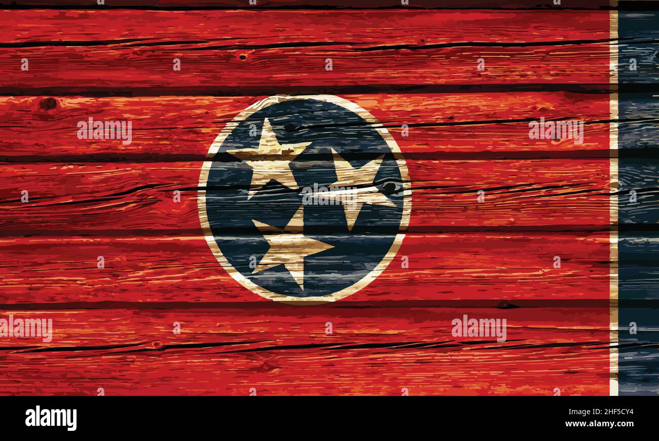 accurate tennessee flag painted on old rustic timber vector illustration Stock Vector