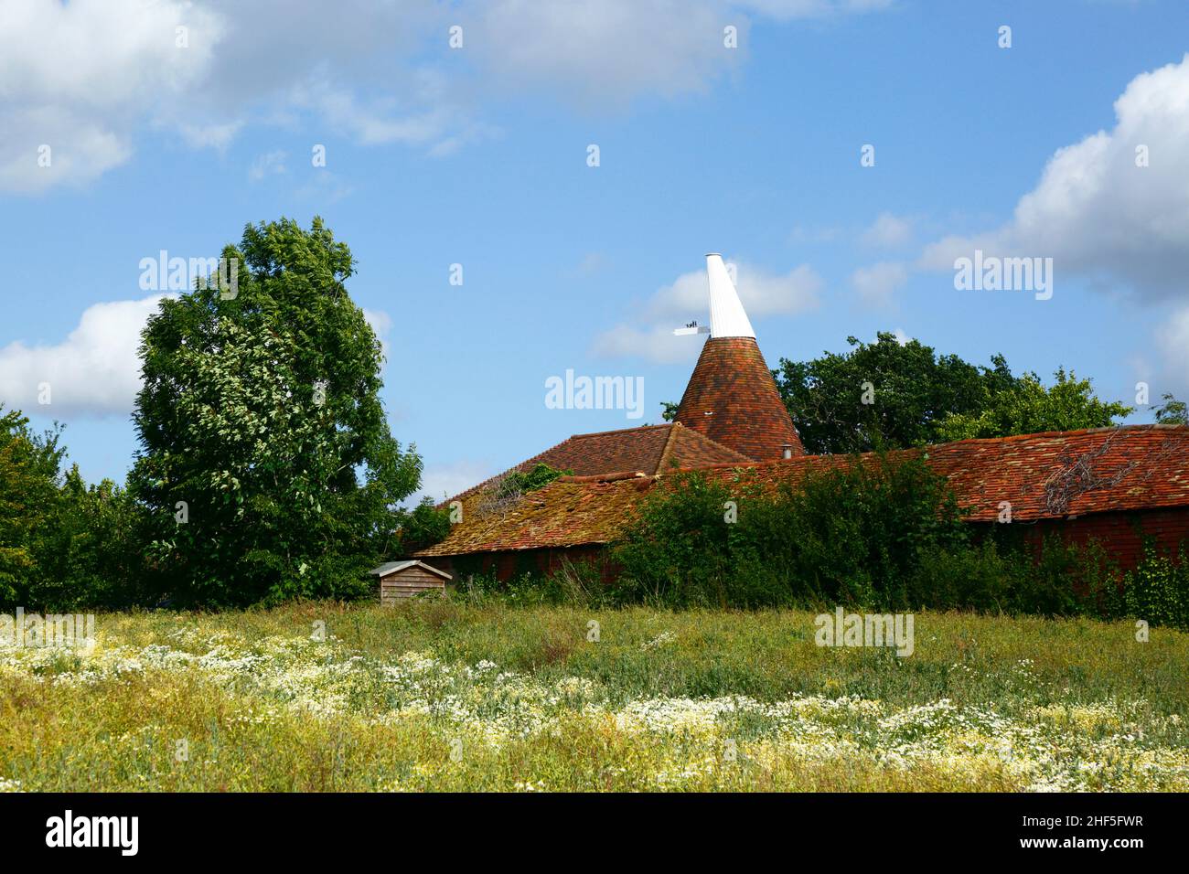 Oast house, barn and wildflower meadow next to High Weald Walk long distince footpath in early summer, Tudeley, Kent, England Stock Photo