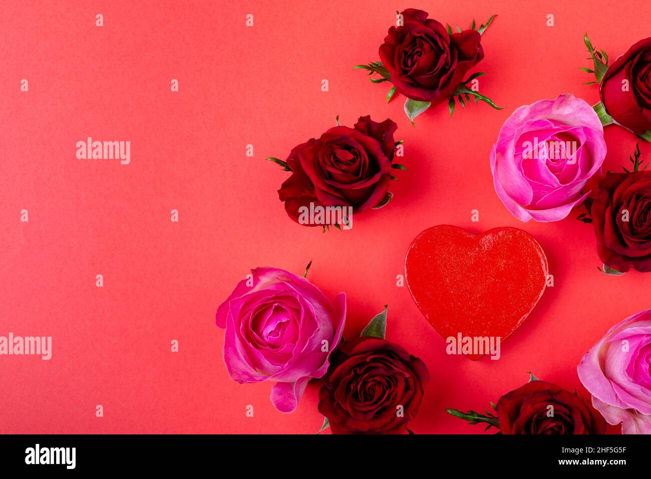 Fresh red and pink roses with heart shape with copy space on colored background Stock Photo