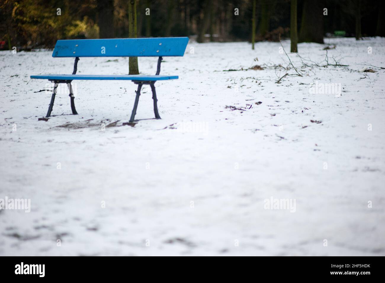 The Hague, Netherlands. Colorful Bench in a Snowy Meadow inside a City park. Stock Photo