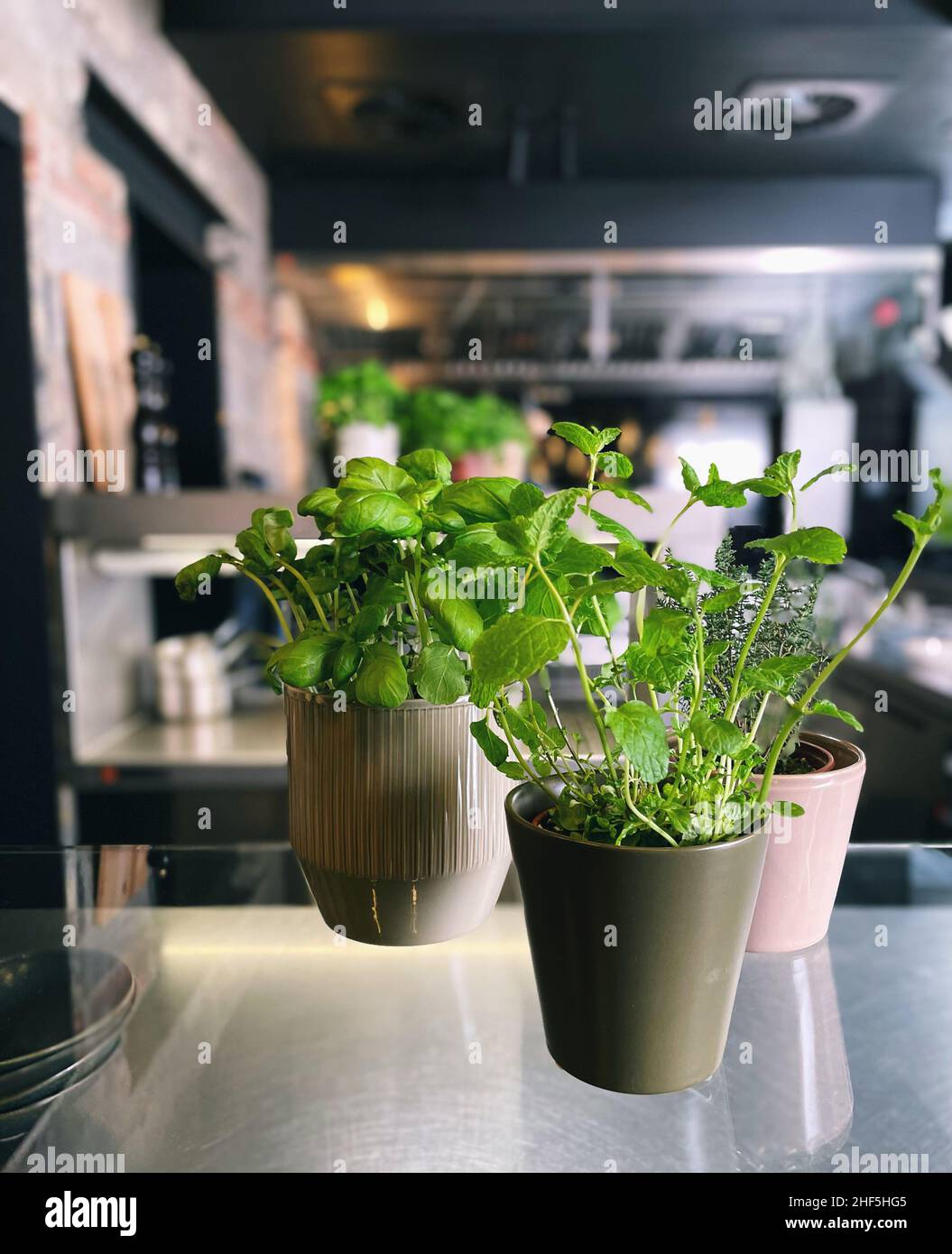 Herbs in the kitchen hi-res stock photography and images - Alamy