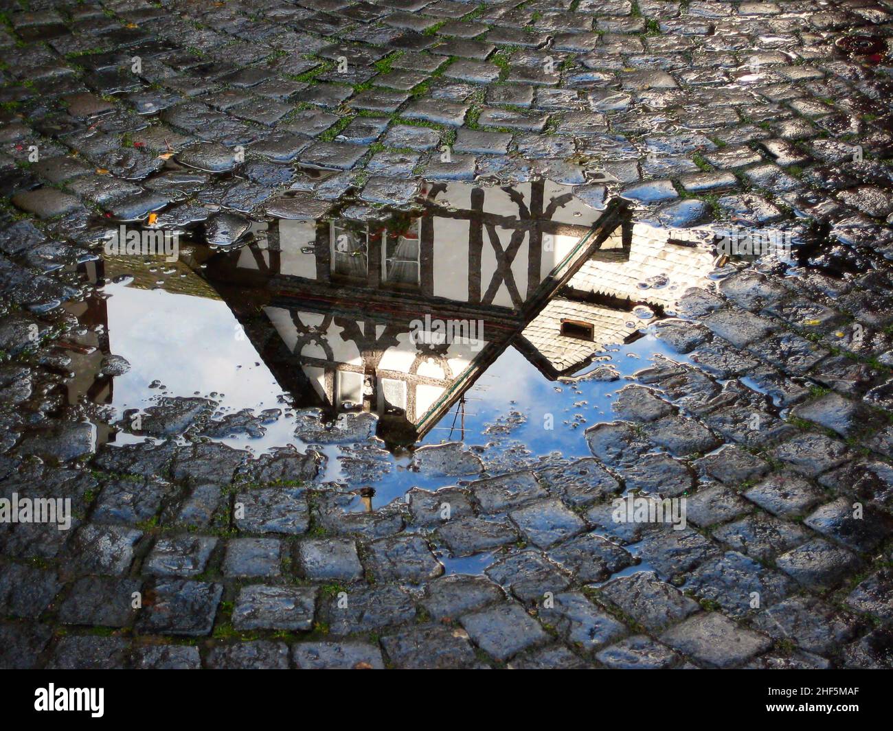Ein Fachwerkhaus spiegelt sich in einer Regenpfütze auf einem Kopfsteinpflaster in Bernkastel-Kues Stock Photo