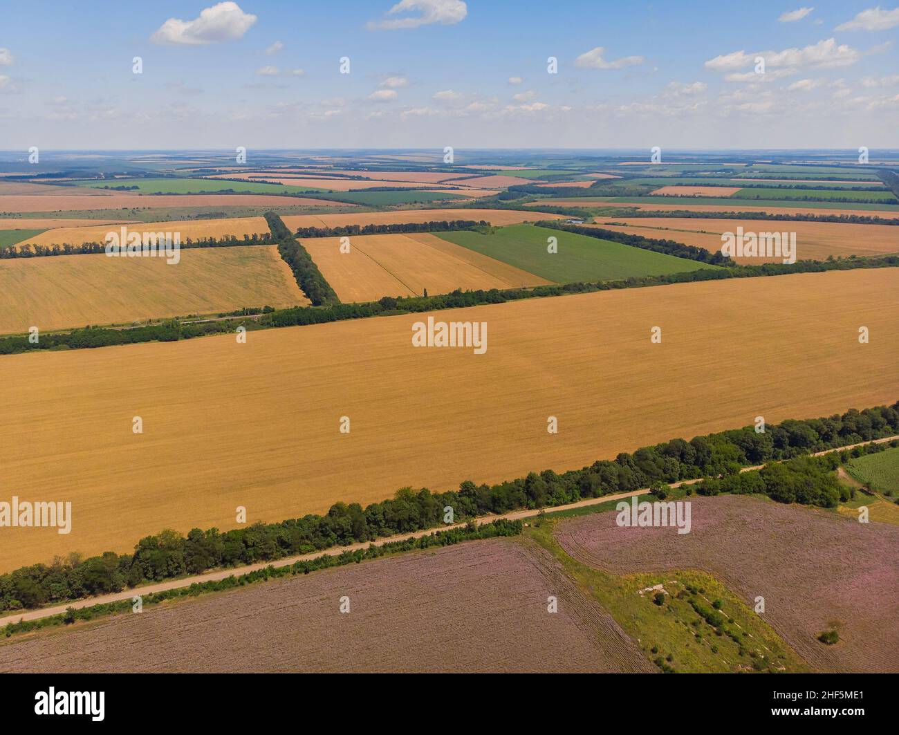 Aerial landscape of summer farm wheat field harvest crops Stock Photo ...