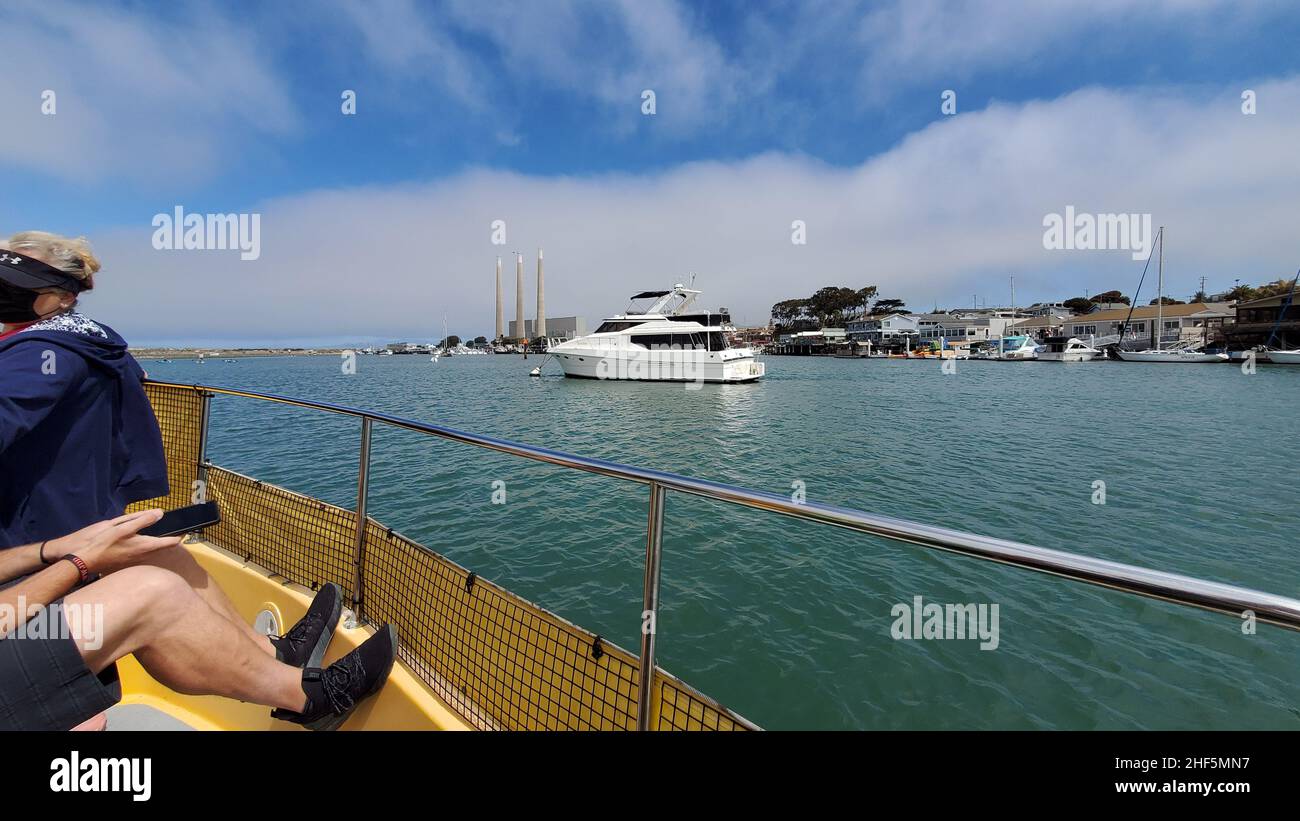 Elephant Seals, Sea Otters, and Photos of Morro Bay Stock Photo - Alamy