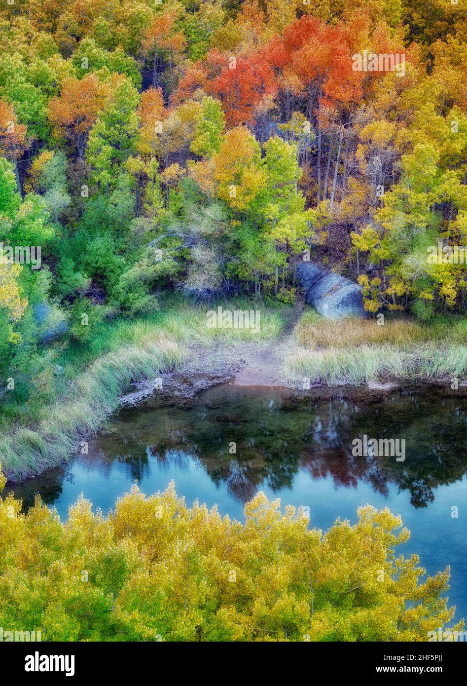 Cardinal Pond with fall colored aspens. Bishop Canyon. California Stock ...