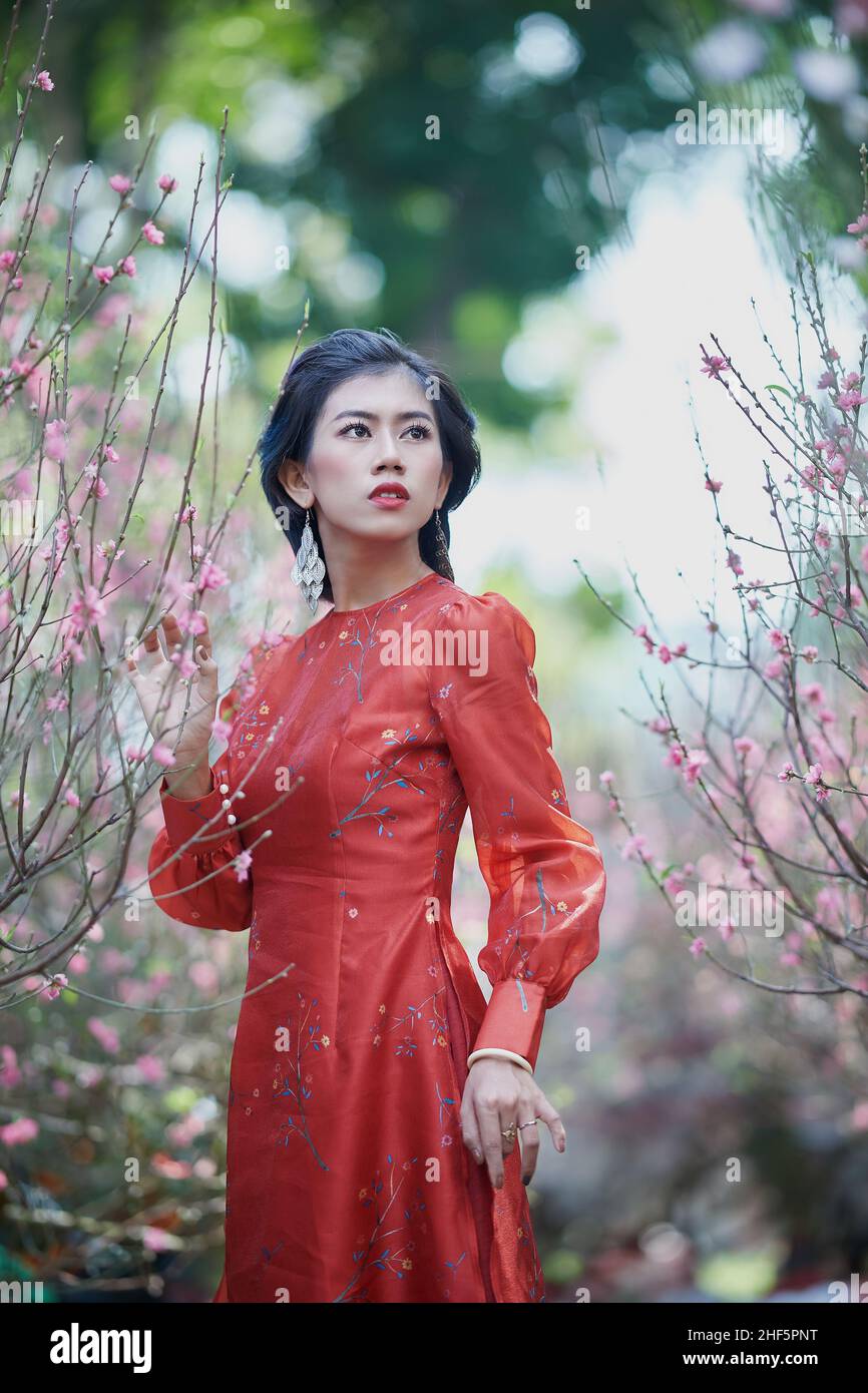 Ho Chi Minh City, Vietnam: Vietnamese girl wearing ao dai posing with peach blossoms to celebrate the new year Stock Photo