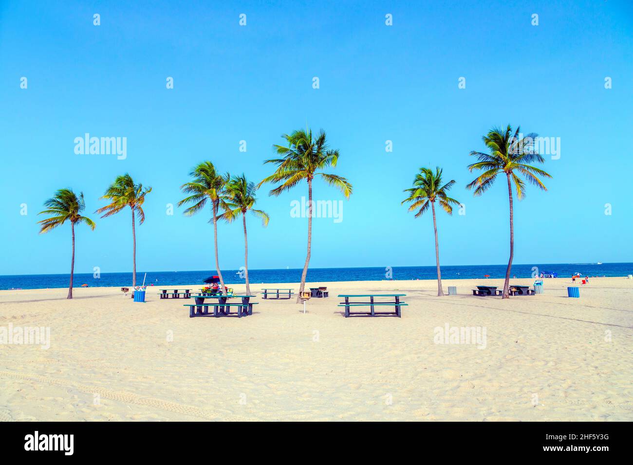 beautiful tropical Fort Lauderdale beach with coconut trees Stock Photo