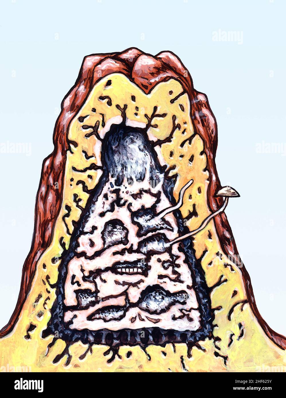 Diagram: inside a termite mound, showing how African  Macrotermitinae termites grow omajowa mushrooms in underground chambers. Plant-animal symbiosis. Stock Photo