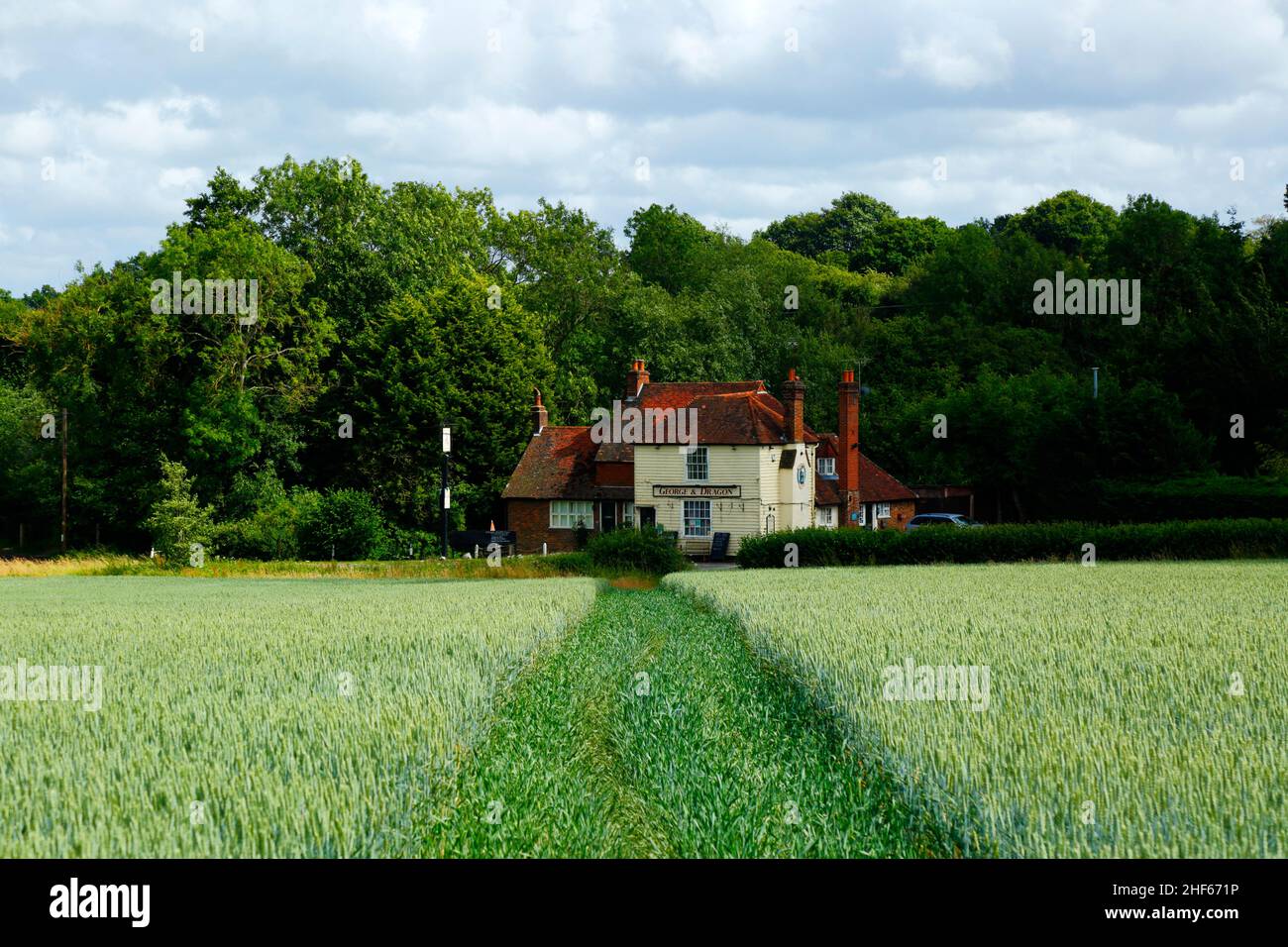 Field of young wheat in early summer and the George & Dragon At Tudeley public house on Five Oak Green Road between Tudeley and Capel, Kent, England Stock Photo