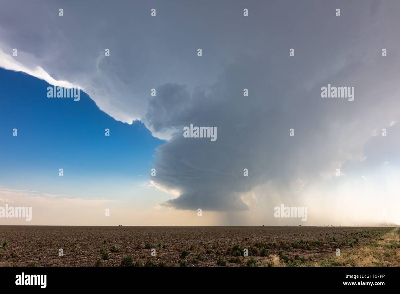 Supercell thunderstorm cumulonimbus cloud drifts across a field in the plains near Holly, Colorado, USA Stock Photo