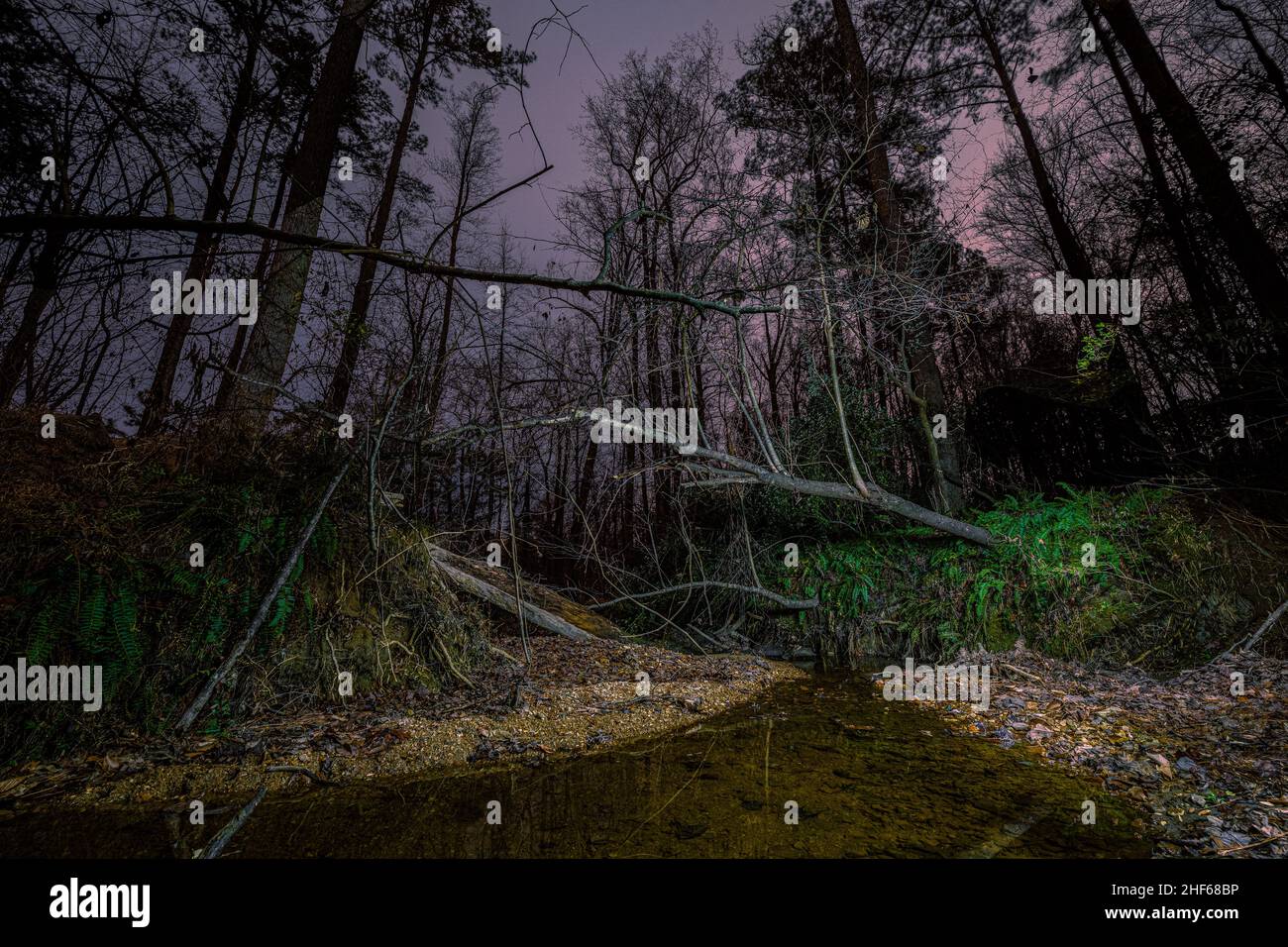 Bartons Creek in Raleigh, North Carolina Stock Photo Alamy