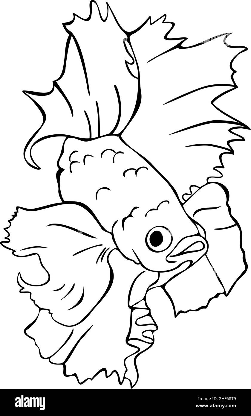 Vector illustration of beautiful black and white fish. Isolated hand