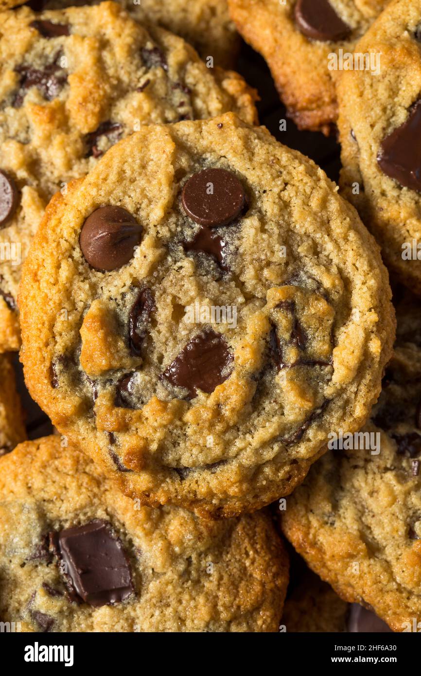 Homemade Tahini Chocolate Chip Cookies with Sea Salt Stock Photo Alamy
