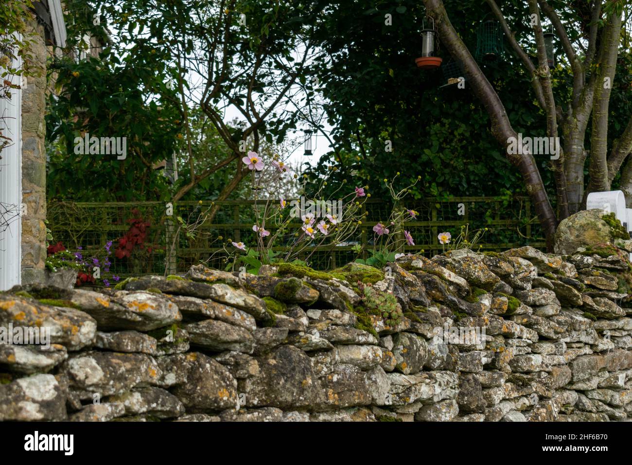 Stone clad wall, quaint and covered with moss with flowering flowers growing on top. Picturesque postcard scene of beautiful English countryside. Coun Stock Photo