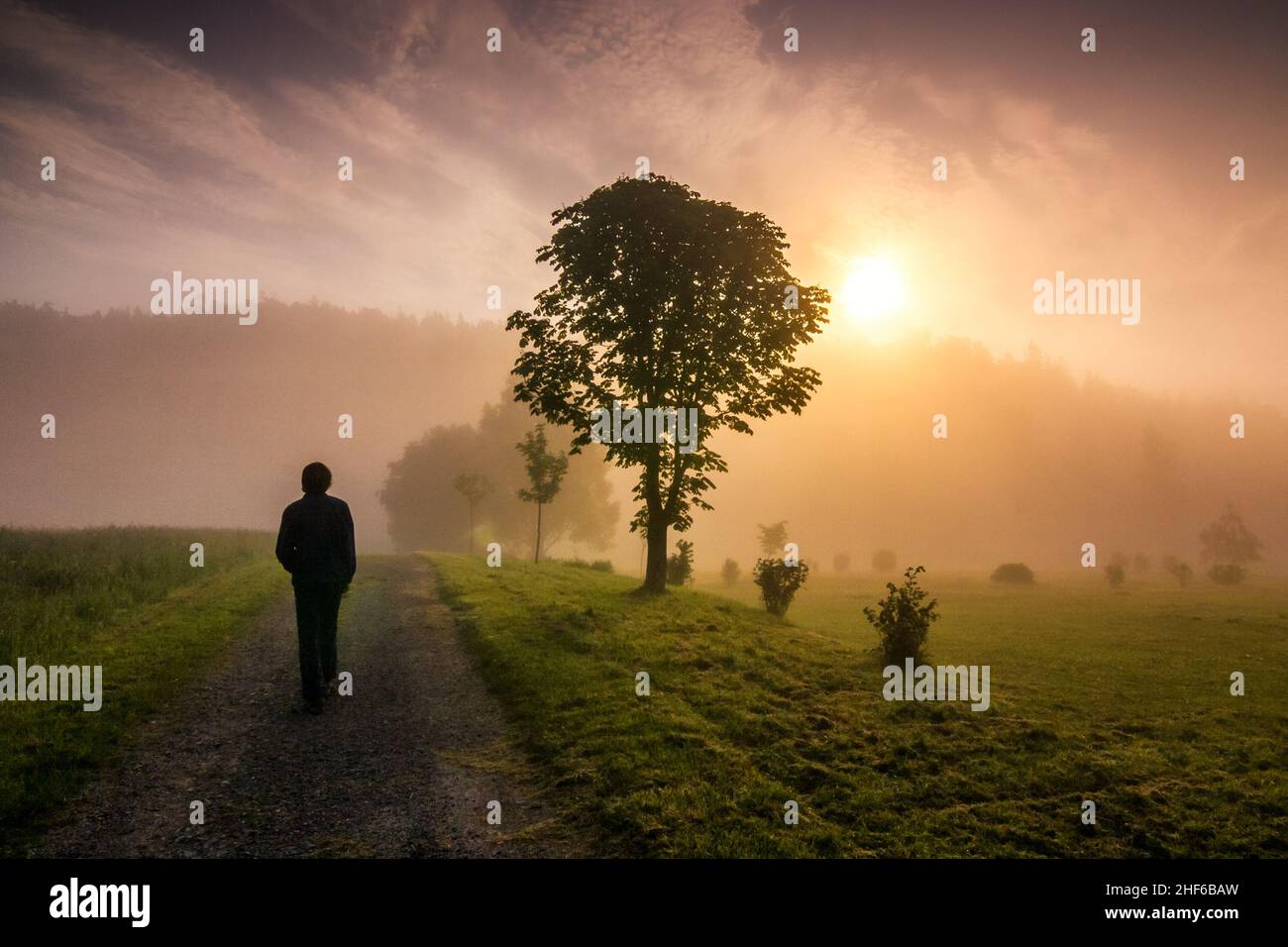 Silhouette man walking on road hi-res stock photography and images - Alamy