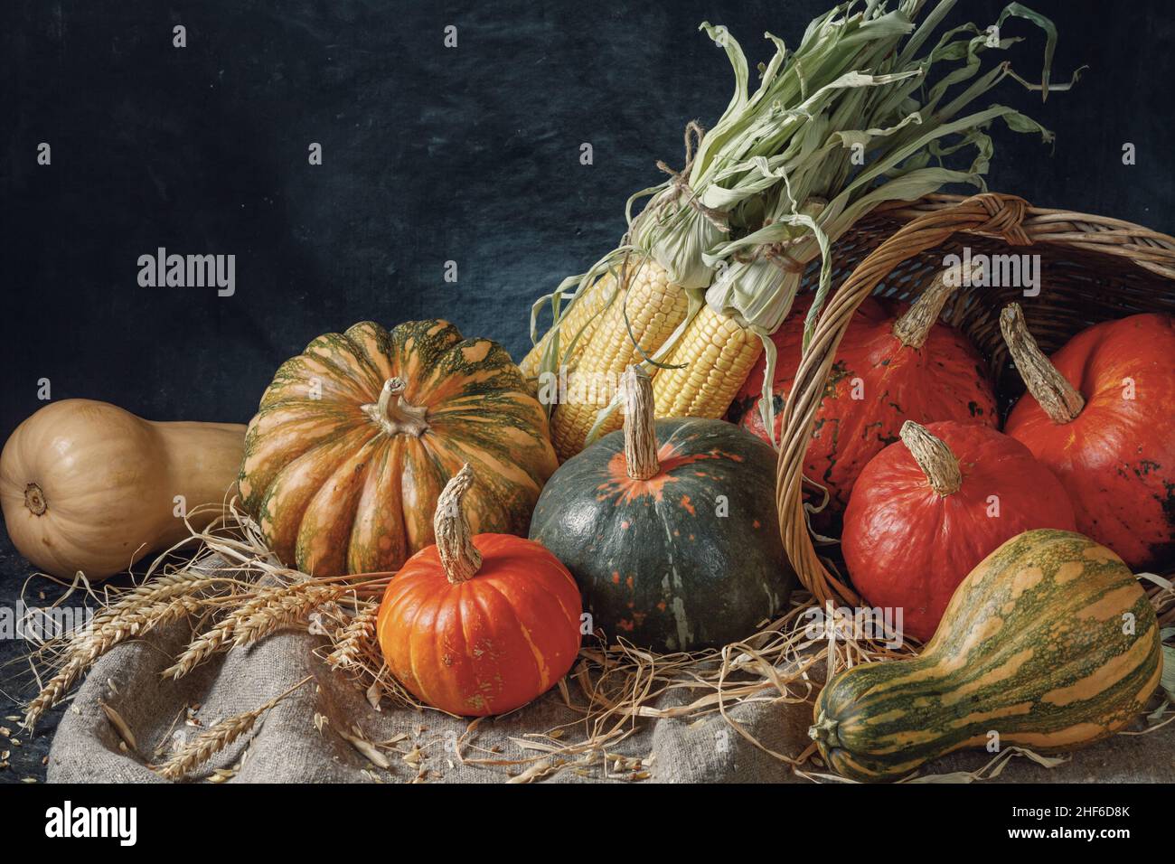 Autumn still life with pumpkin fruits of different colors and sizes and ...