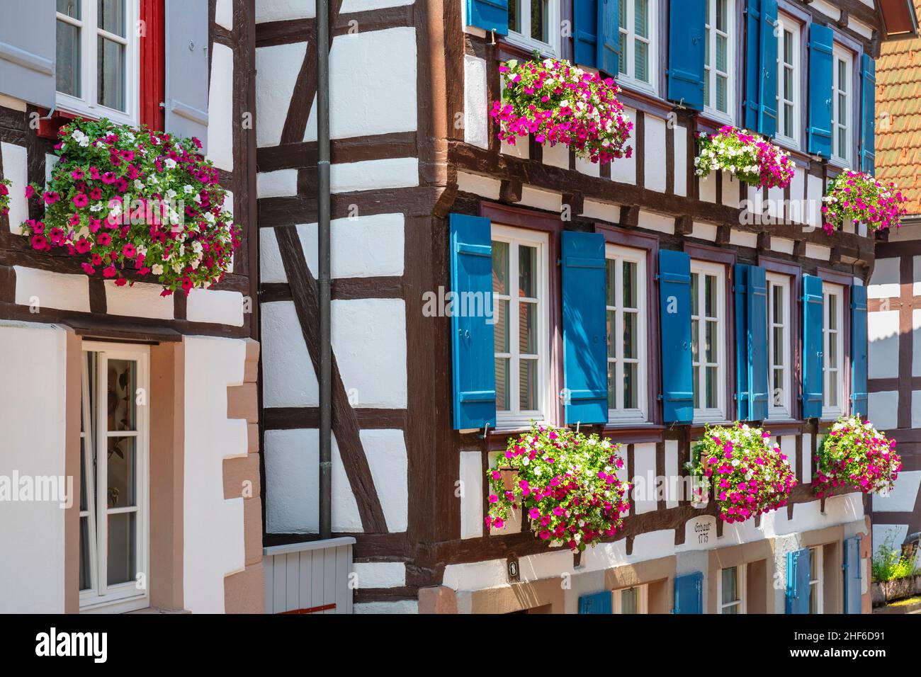 Half-timbered houses adorned with flowers on the market square of Schiltach,  Black Forest,  Kinzigtal,  Baden-Wuerttemberg,  Germany Stock Photo