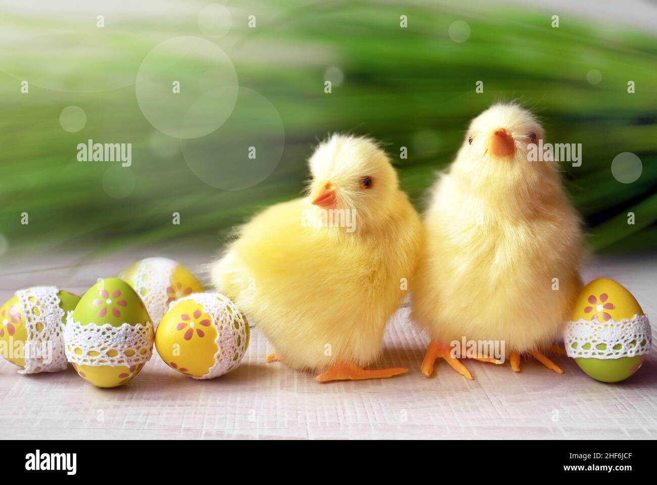 Easter composition with Colorful Easter eggs, chicks on green grass background. Easter concept. Stock Photo