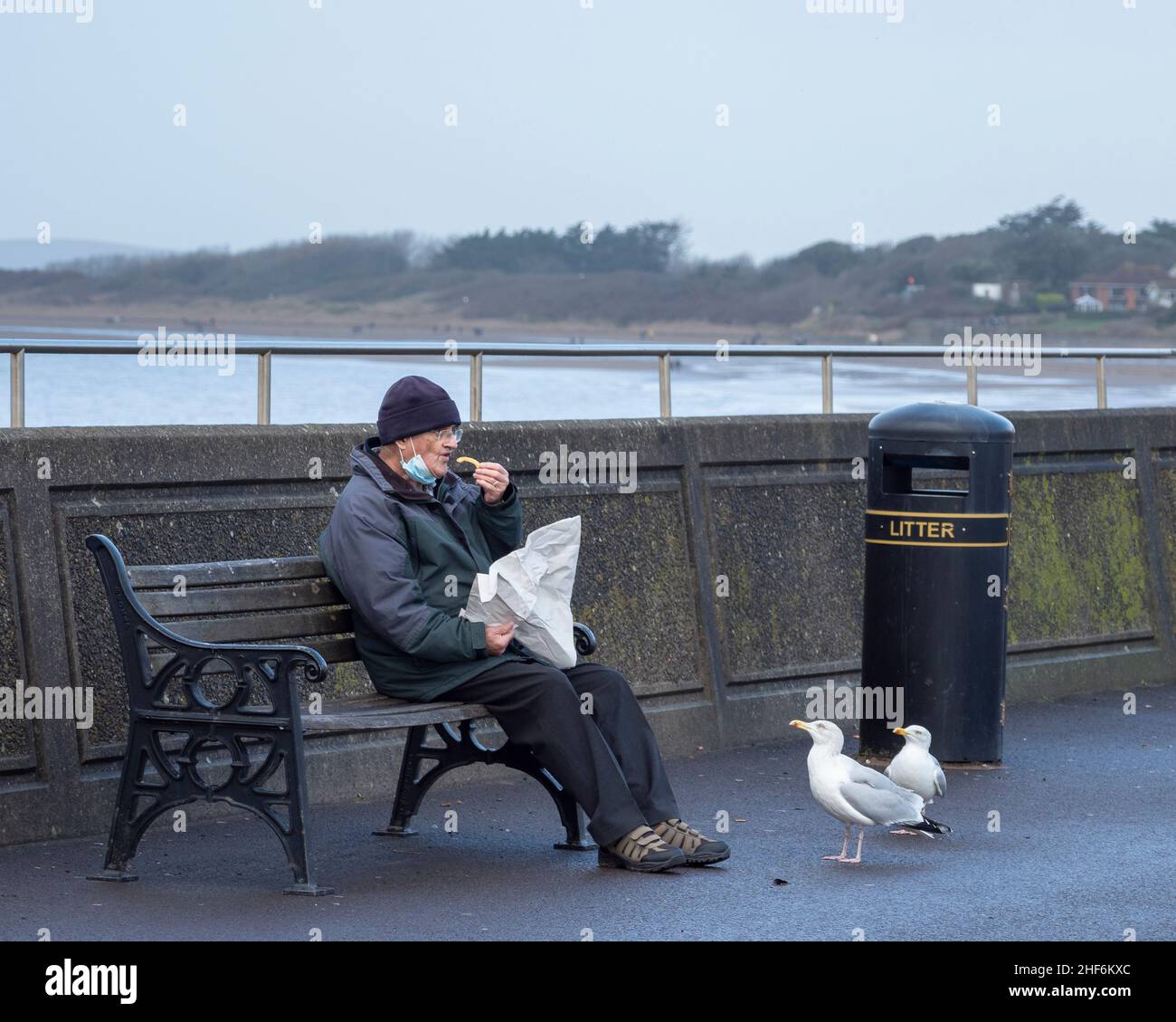 Man sitting on a bench eating chips from a paper wrapper at the seafront being watched by seagulls. Burnham-on-Sea, Somerset, England Stock Photo