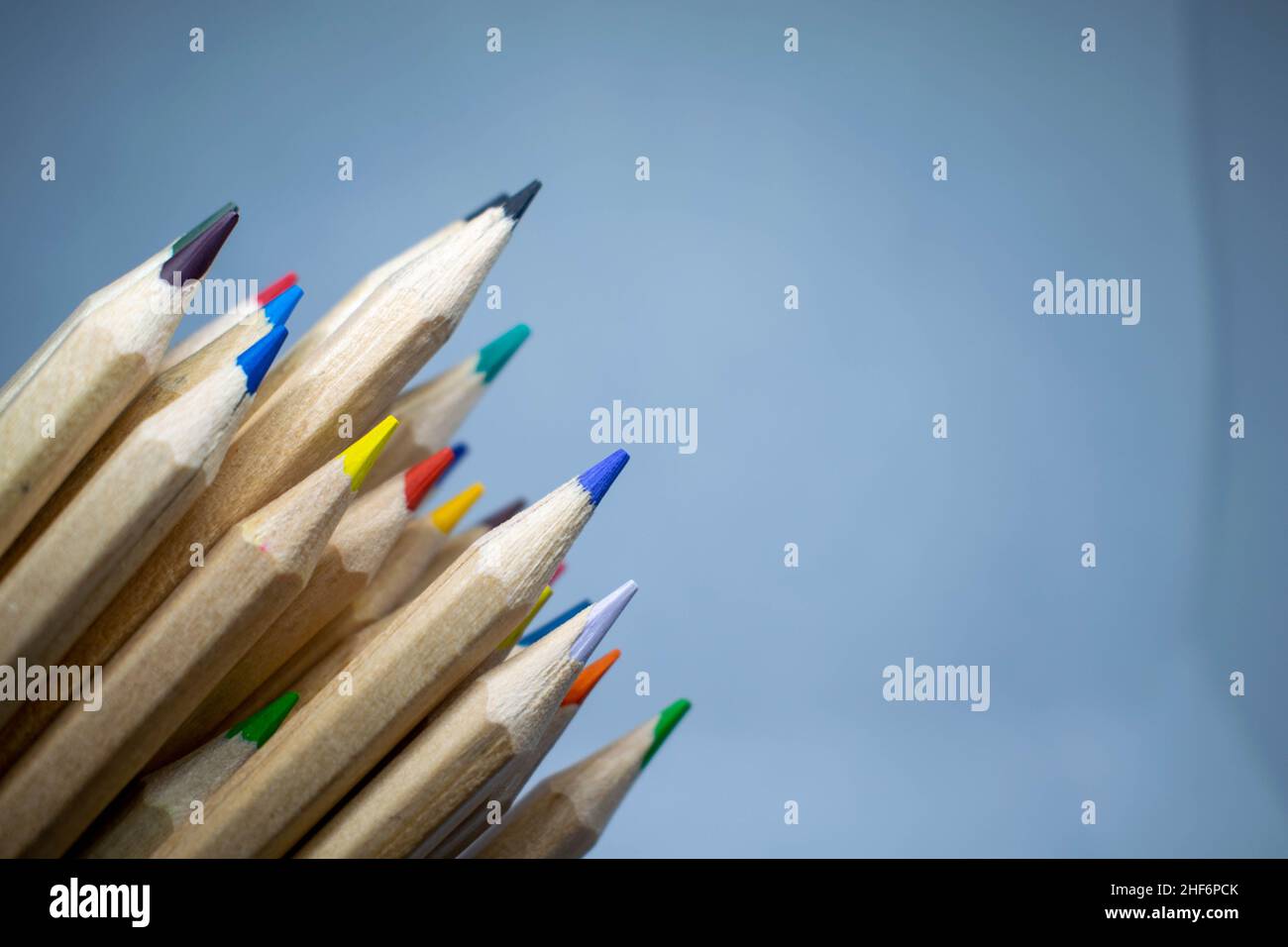 Back to school concept. Colourful vibrant pencils on a isolated burred blue background and copy space. Stock Photo