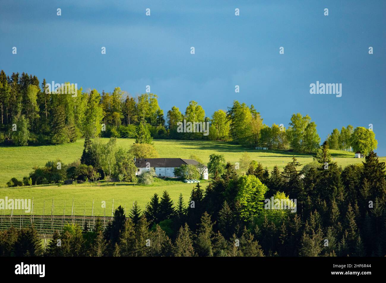 summer landscape around Haslach an der Mühl in the Mühlviertel in Upper Austria Stock Photo