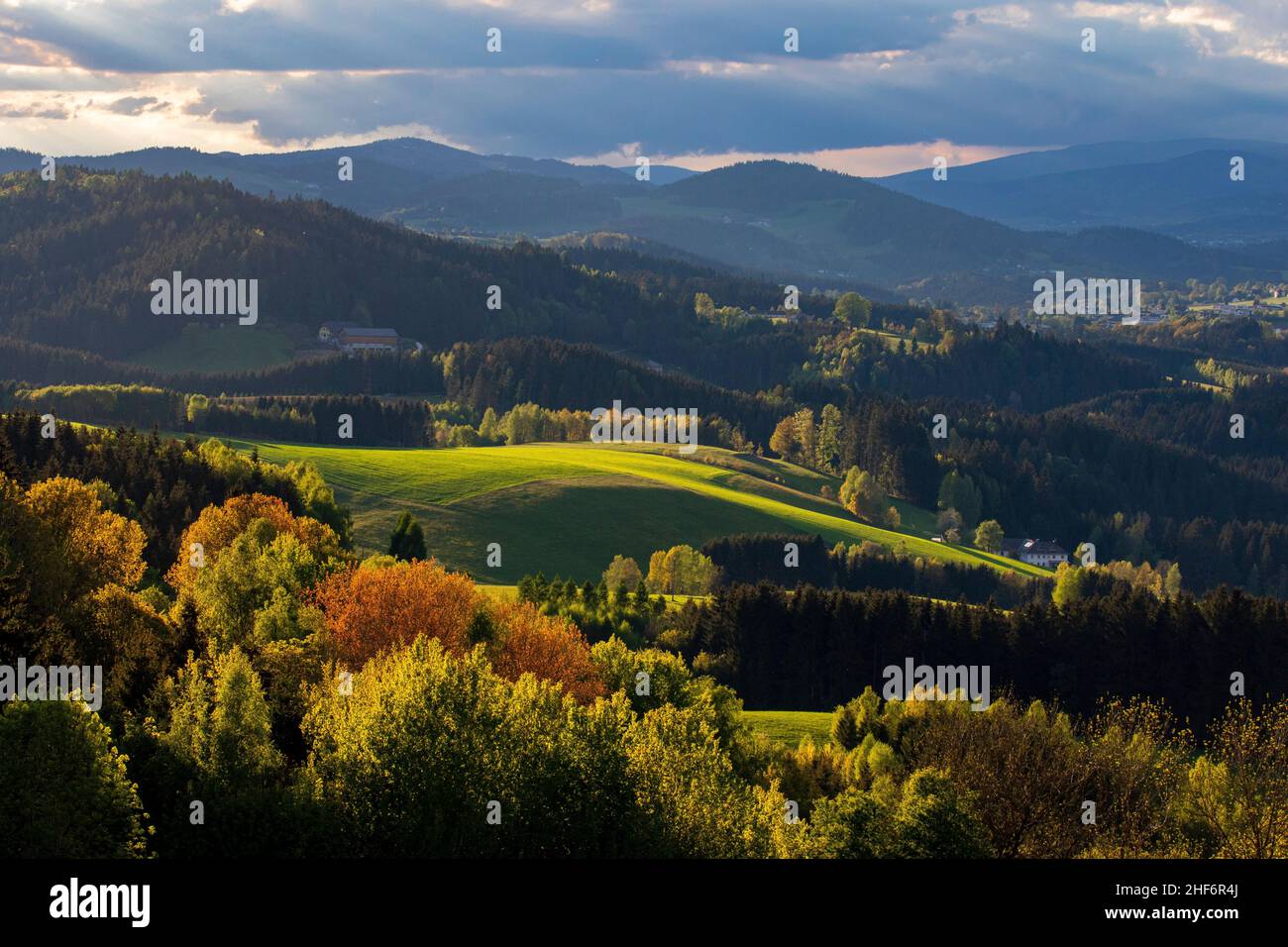 summer landscape around Haslach an der Mühl in the Mühlviertel in Upper Austria Stock Photo