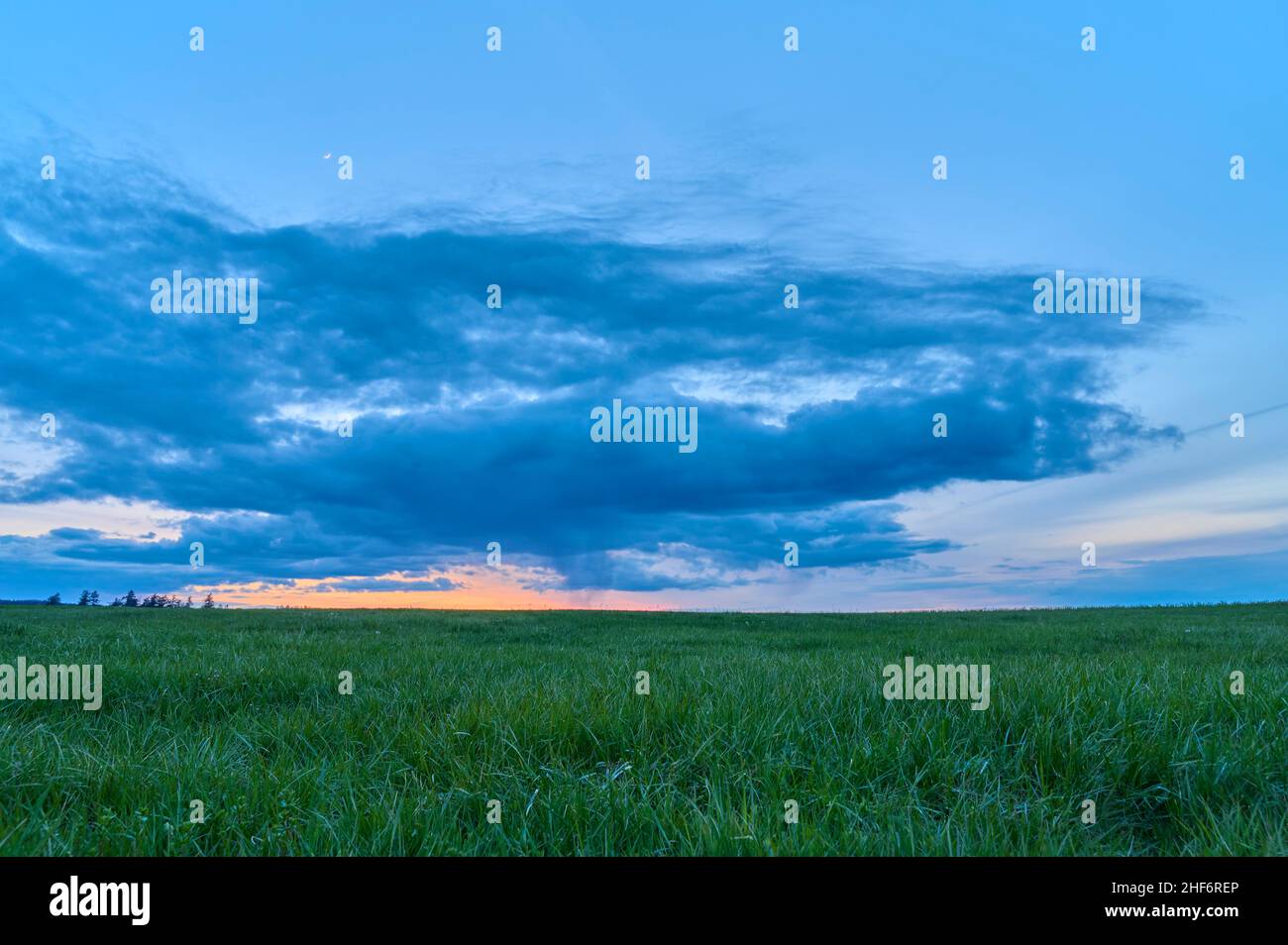 Meadow,  forest,  sky,  sunset,  dusk,  spring,  Spessart,  Bavaria,  Germany Stock Photo
