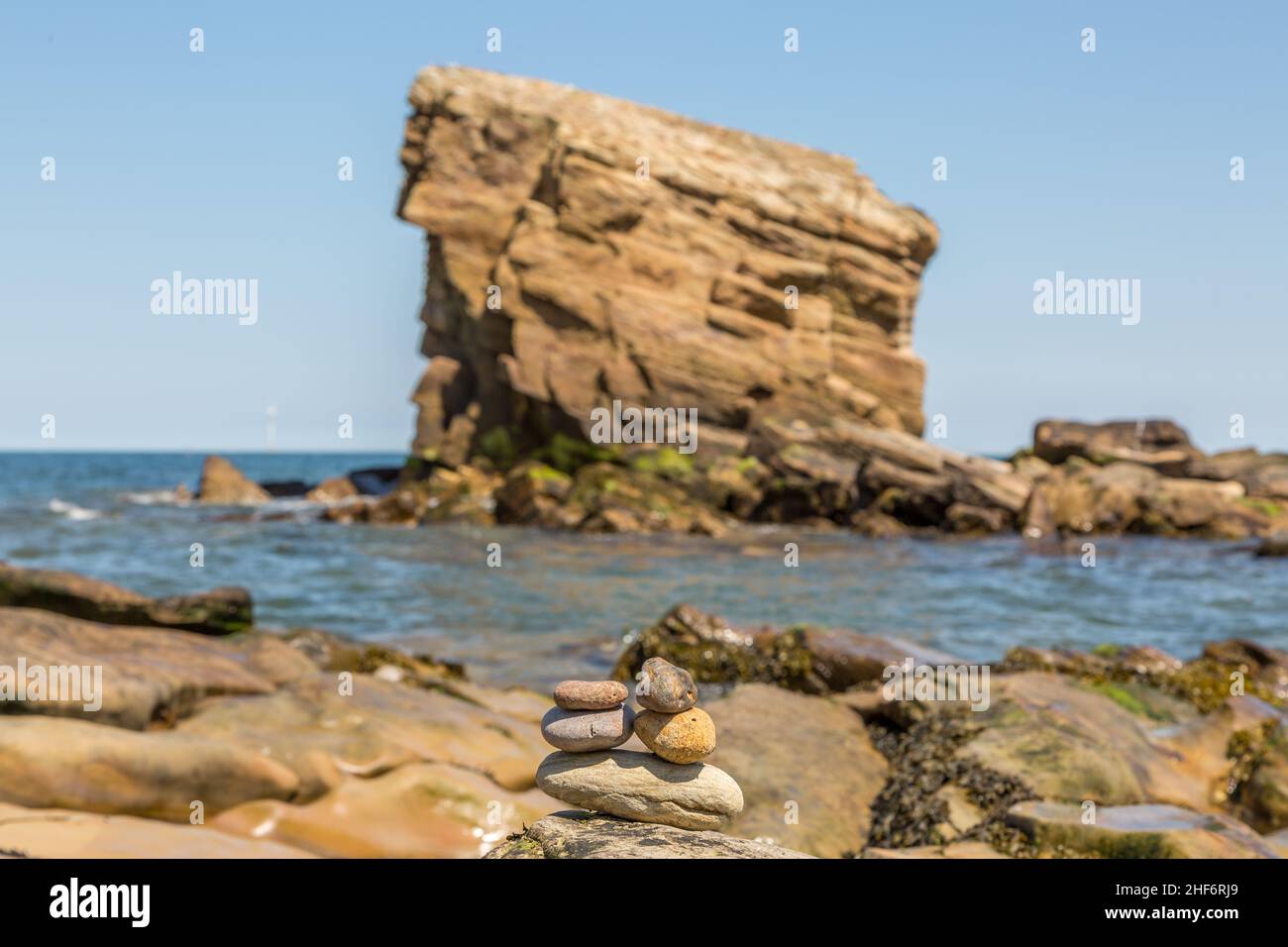 'Charley's Garden' is a sandstone sea stack in Collywell Bay, Seaton Sluice, Northumberland. Stock Photo