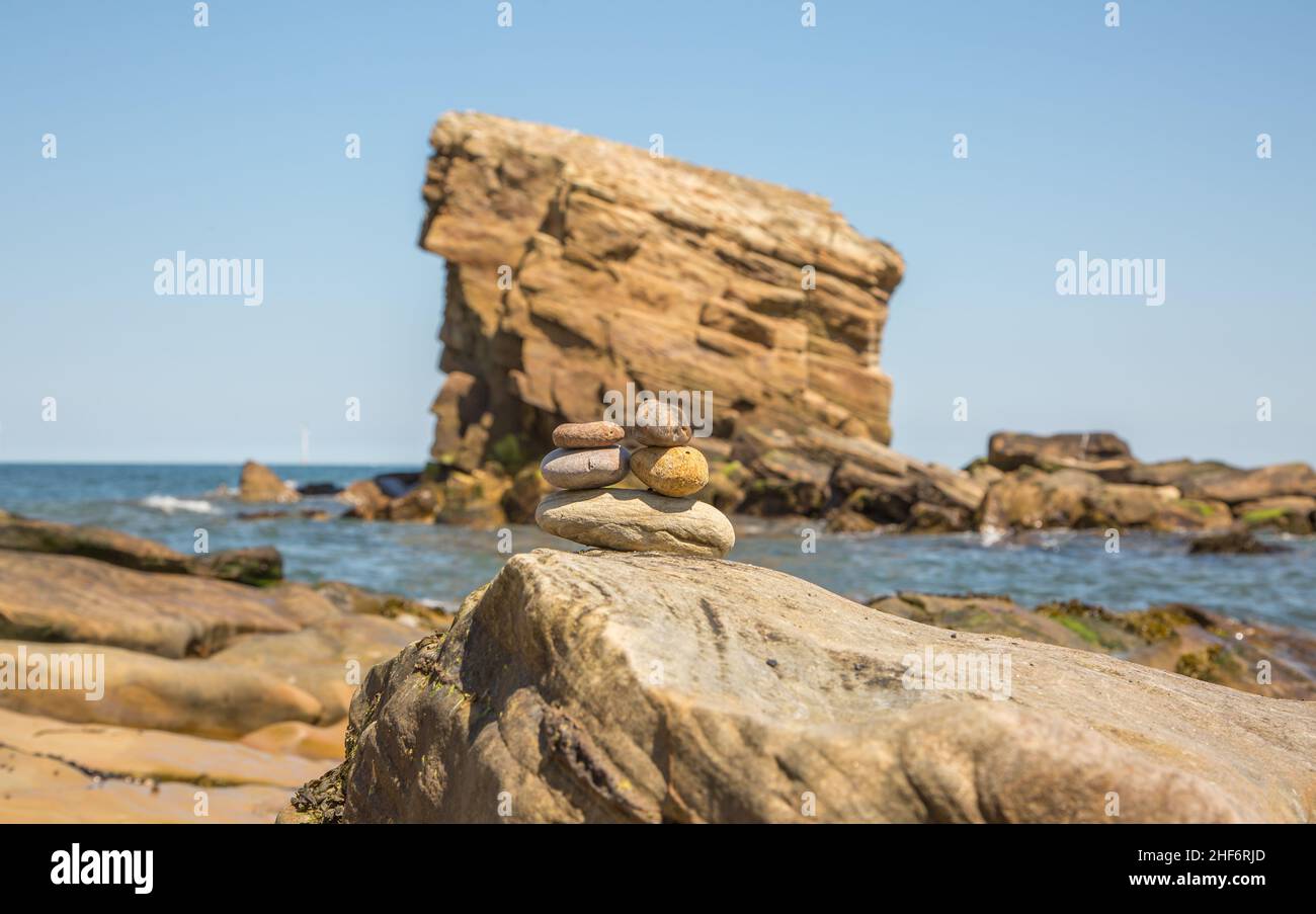 'Charley's Garden' is a sandstone sea stack in Collywell Bay, Seaton Sluice, Northumberland. Stock Photo