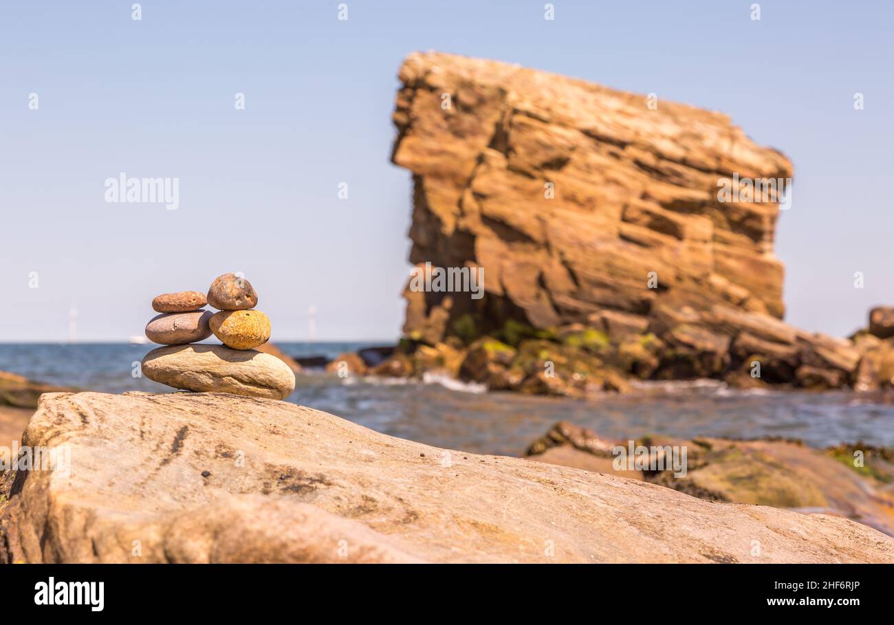 'Charley's Garden' is a sandstone sea stack in Collywell Bay, Seaton Sluice, Northumberland. Stock Photo