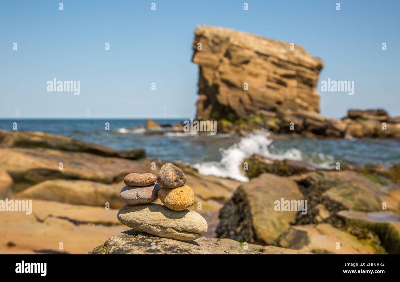 'Charley's Garden' is a sandstone sea stack in Collywell Bay, Seaton Sluice, Northumberland. Stock Photo