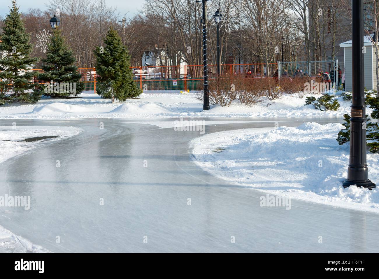 A curved ice surface at an outdoor park. There are a number of turns in the shiny smooth ice surface. There's white snow on both sides of the rink. Stock Photo