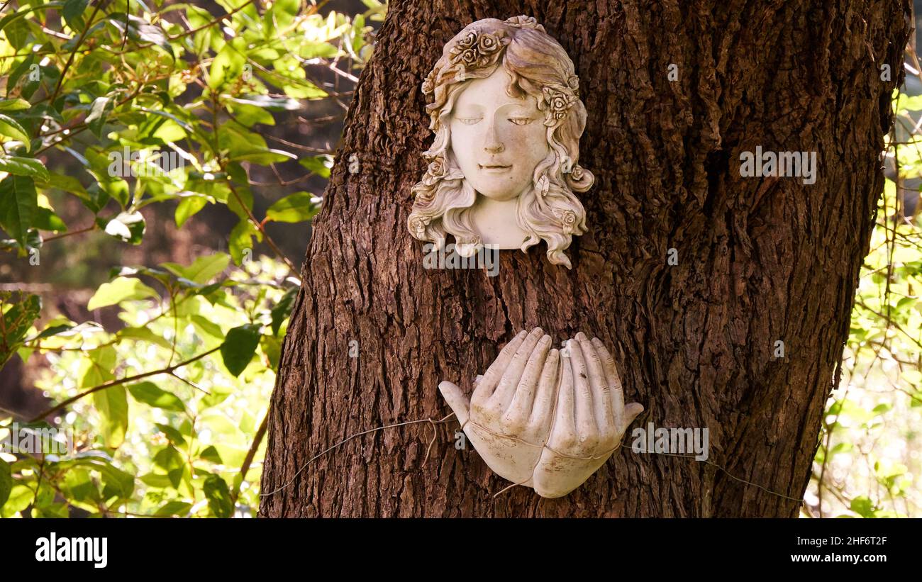 Greece,  Greek Islands,  Ionian Islands,  Corfu,  Corfu Town,  Old British Cemetery,  tree trunk,  clay mask of a woman,  hands made of clay,  green behind Stock Photo