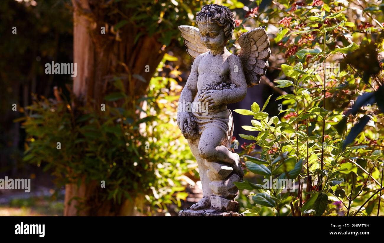 Greece,  Greek Islands,  Ionian Islands,  Corfu,  Corfu Town,  Old British Cemetery,  angel statue surrounded by greenery Stock Photo