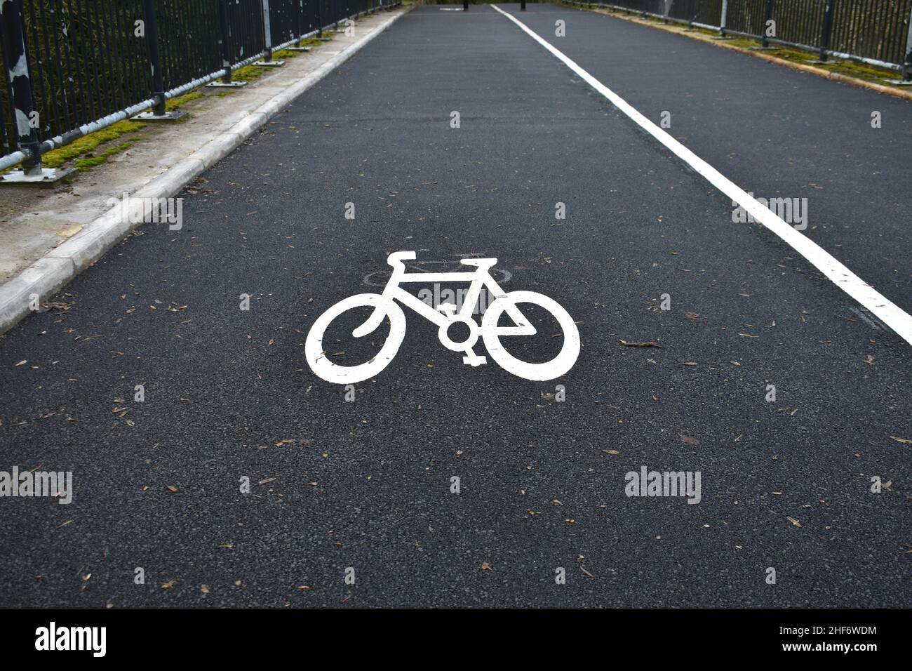 image of a white bicycle symbol painted on black tarmac outside on a ...