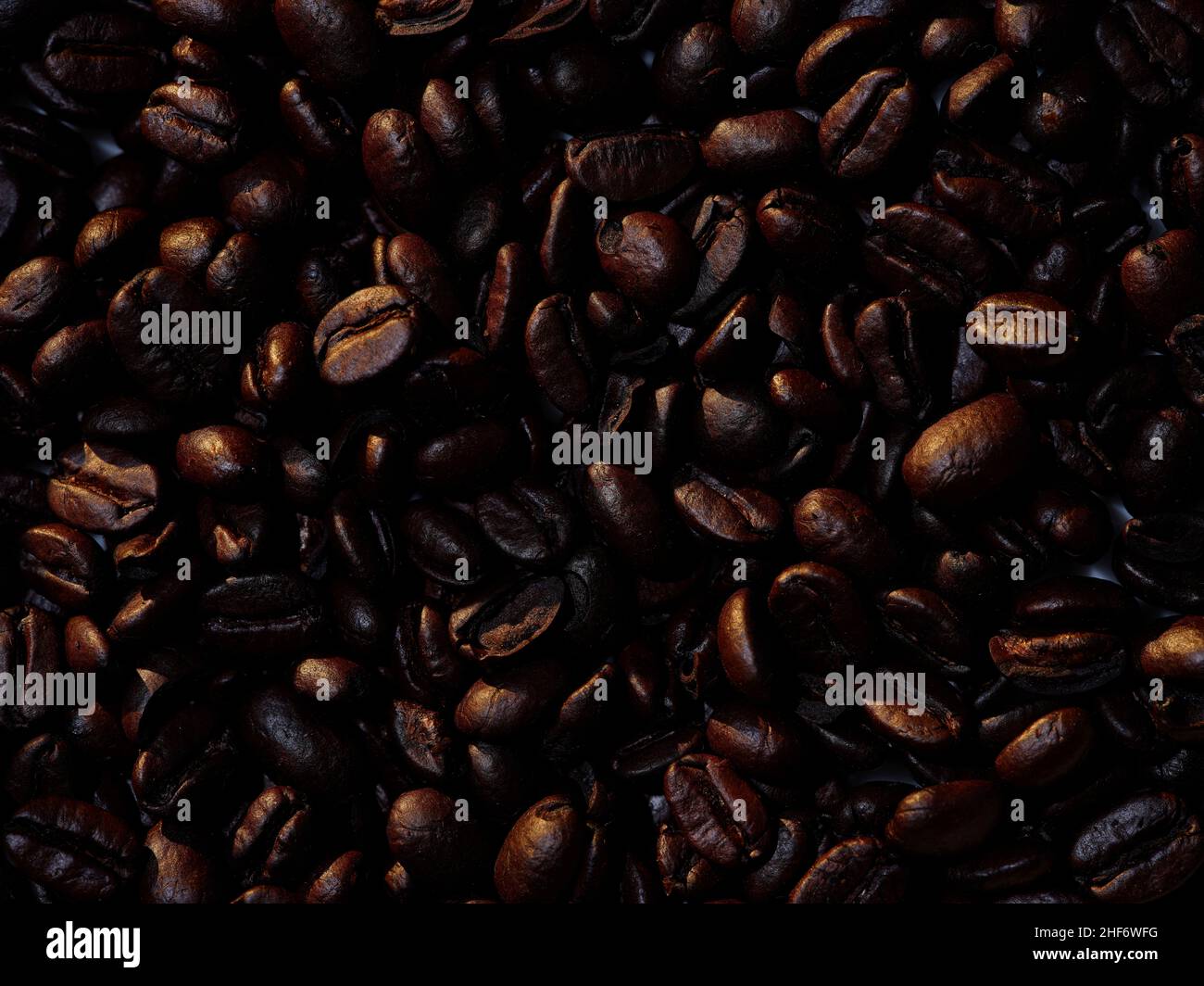 A macro photo of a layer of roasted coffee beans. Stock Photo