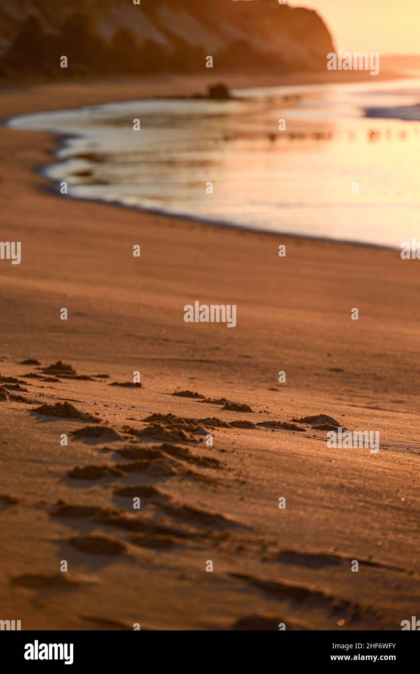 Sunrise on Albufeira Beach,  Atlantic Ocean,  backlit,  footprints in the sand Stock Photo