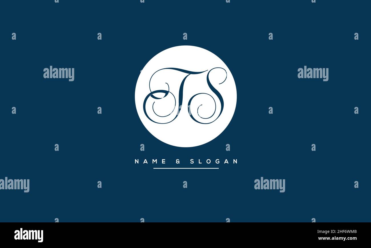 TS, ST Abstract Letters Logo monogram Stock Vector