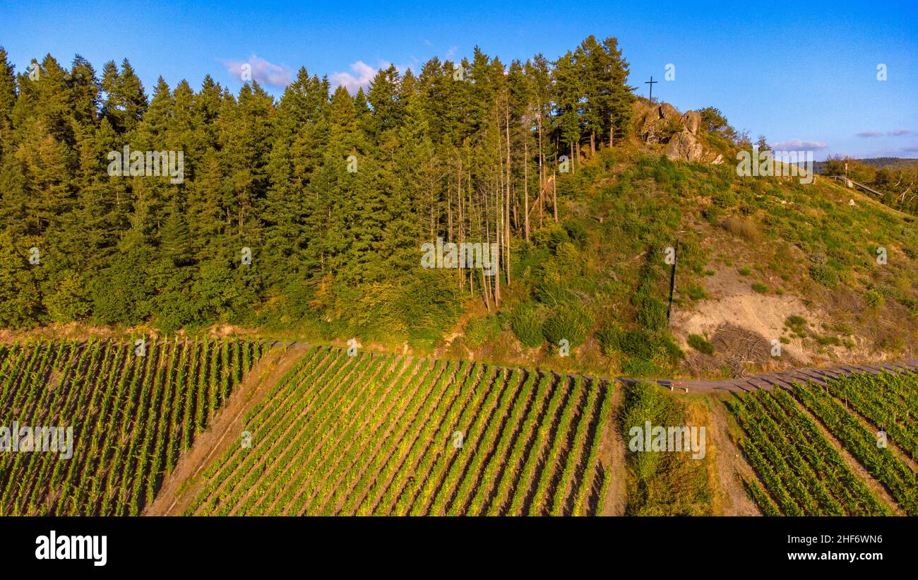 Bockstein rocks and world-famous Ockfener Bockstein vineyards,  Ockfen,  Saarburger Land,  Saartal,  Saarburger Land,  Rhineland-Palatinate,  Germany Stock Photo