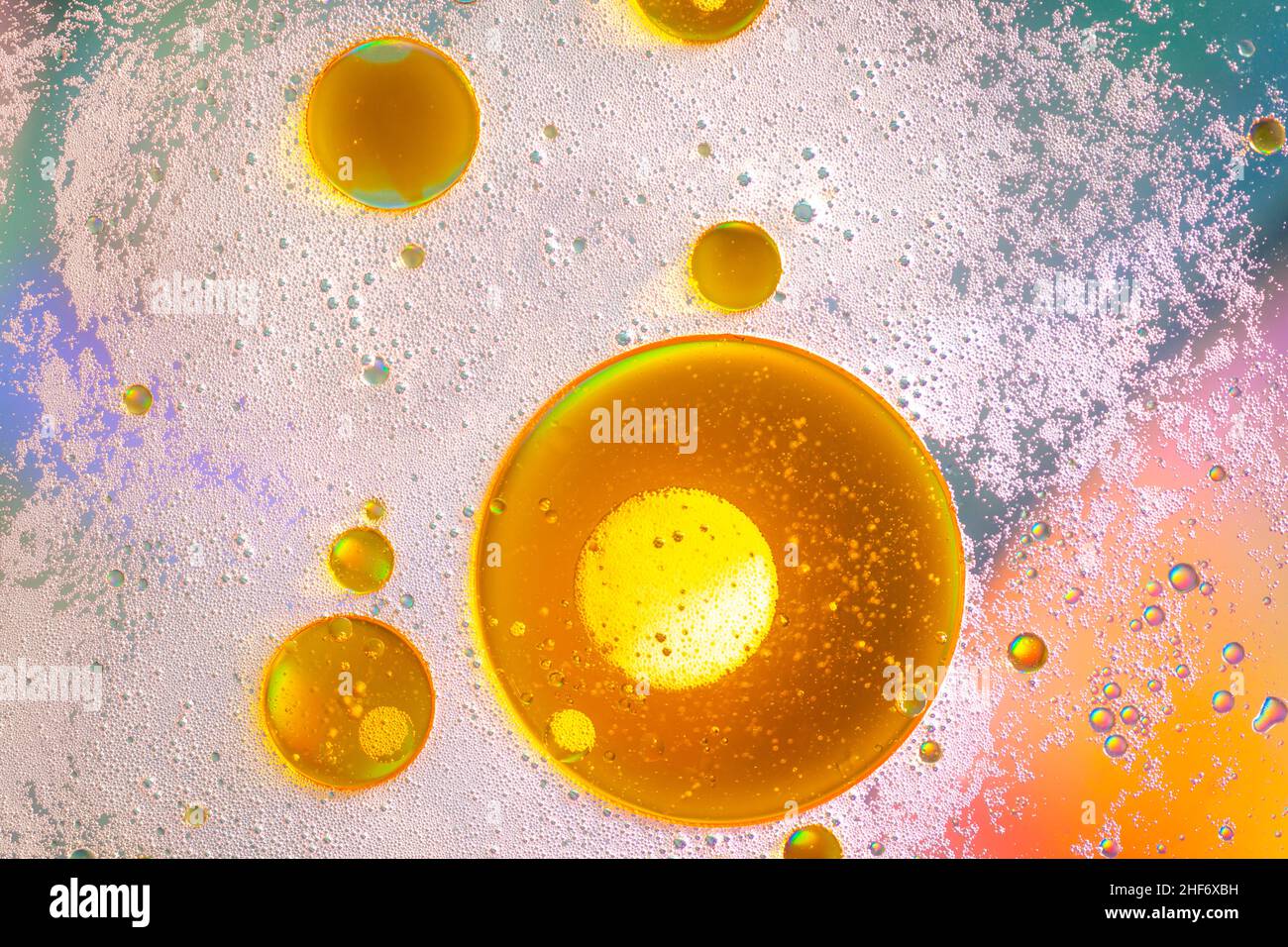 Oil bubbles on water surface,  multicolored background,  abstract image Stock Photo
