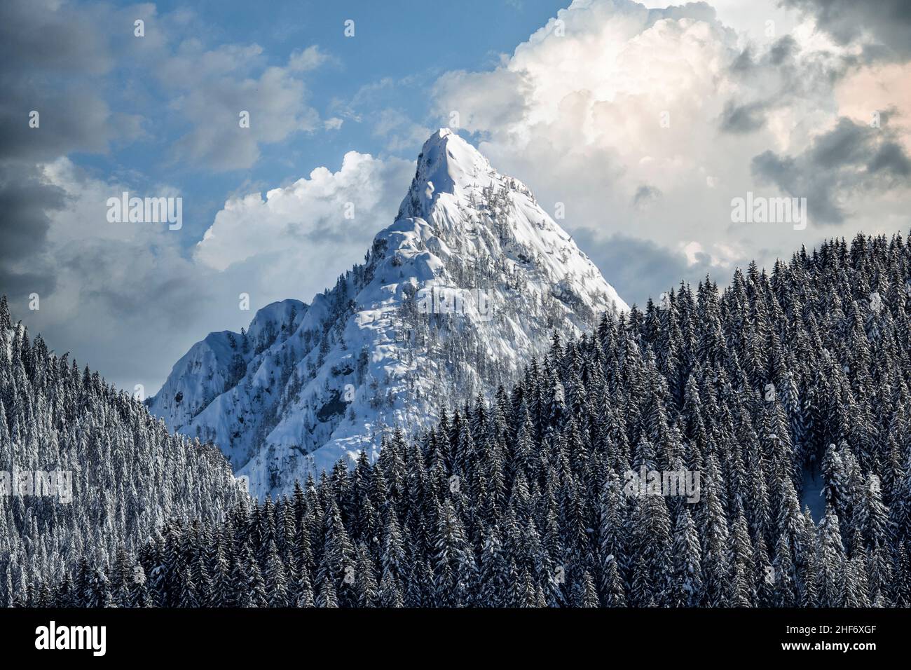 Mount Tuglia,  Carniche Alps,  Terze-Clap mountain range,  seen from Sappada,  Province of Udine,  Friuli Venezia Giulia,  Italy Stock Photo