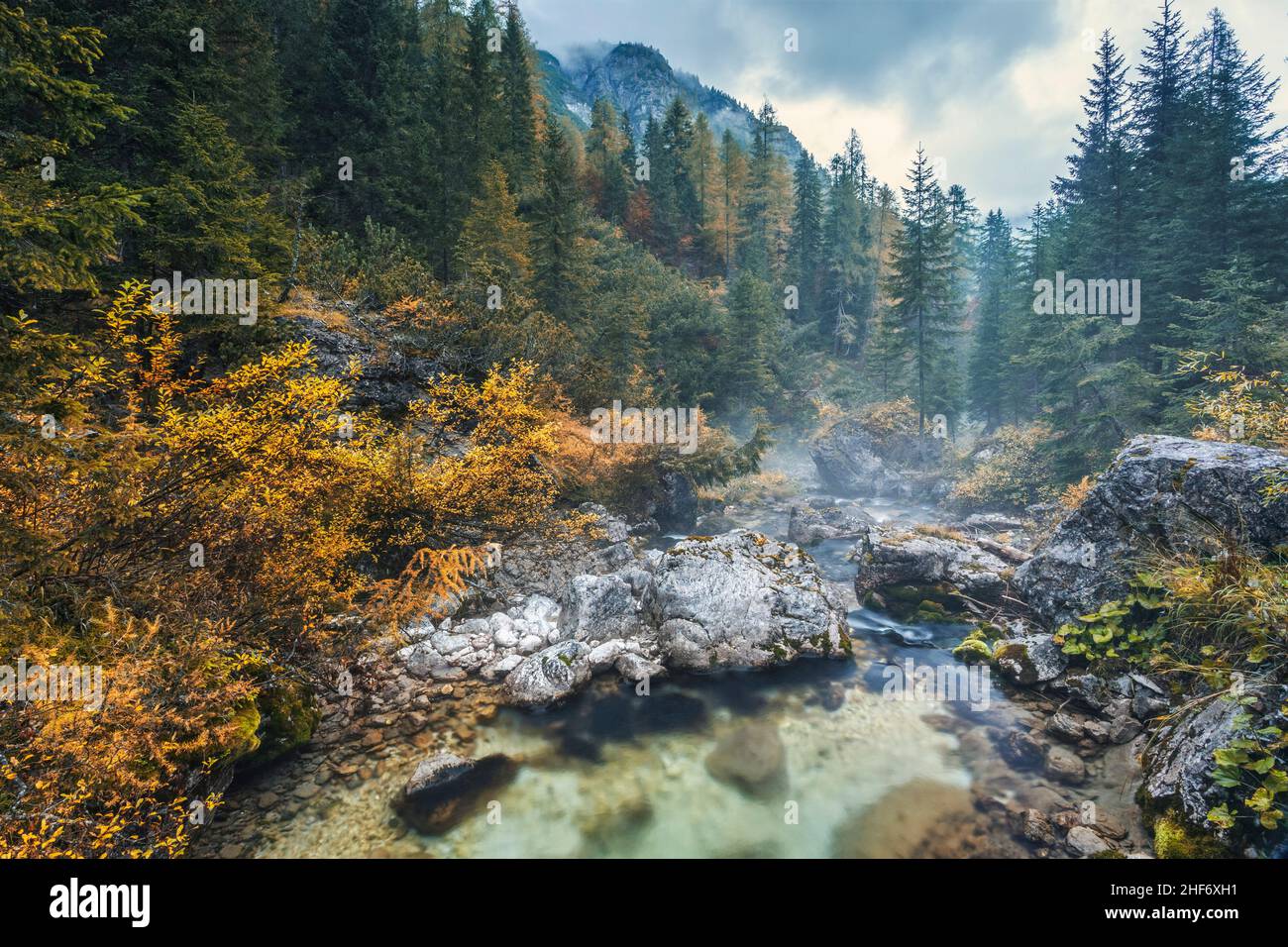The waters of the Mae torrent in Val di Zoldo,  autumn forest,  Pecol di Zoldo,  Province of Belluno,  Veneto,  Italy Stock Photo