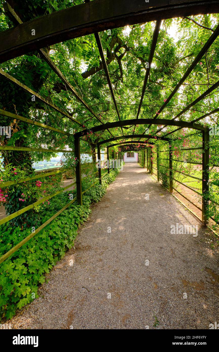 Rose trellis hires stock photography and images Alamy