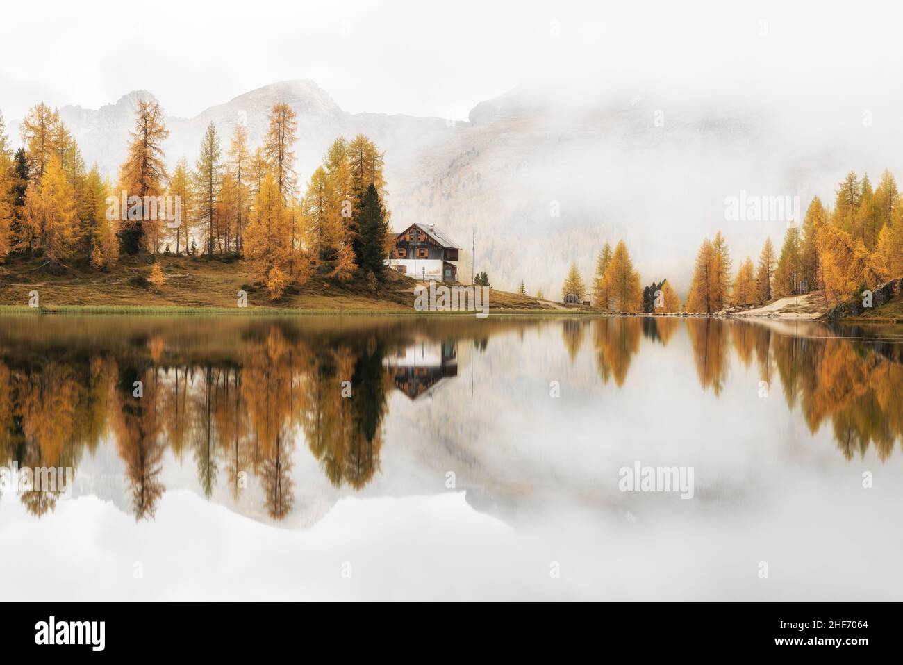 Beautiful reflection of the yellow larches on Lake Federa Stock Photo ...