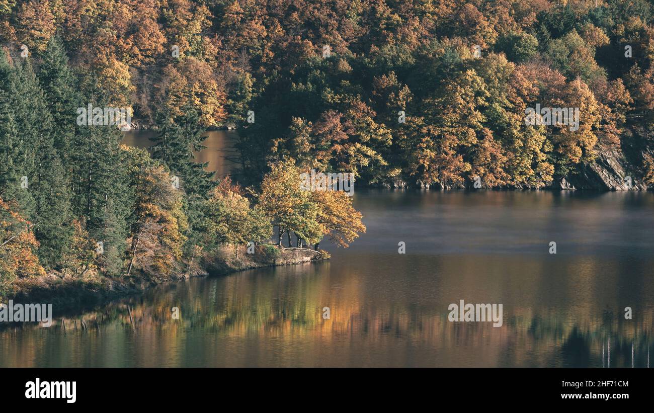 Autumn forest by the lake Stock Photo