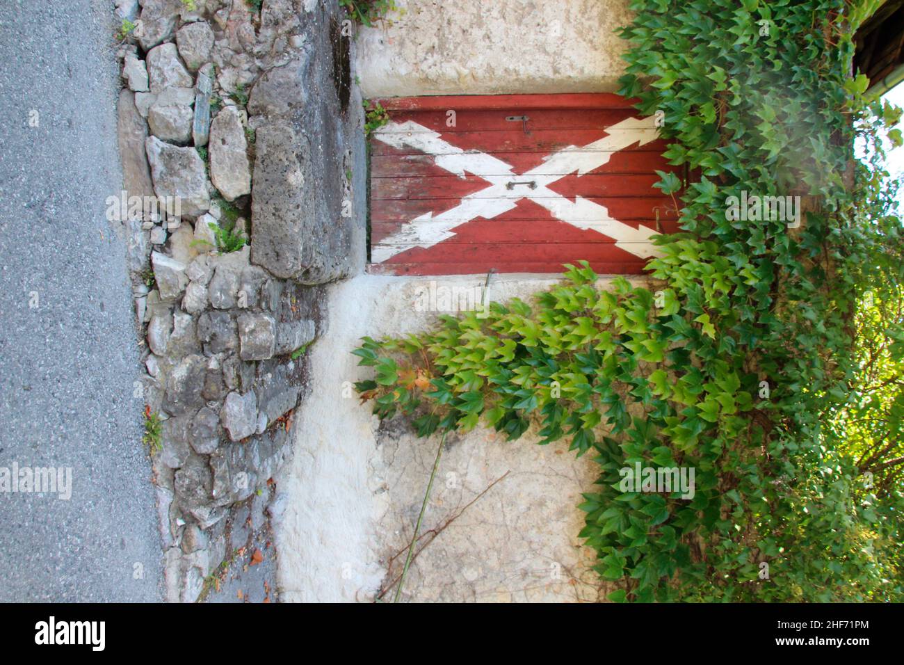 an entrance,  door,  overran with wild wine,  in Absam,  Tyrol,  Austria Stock Photo
