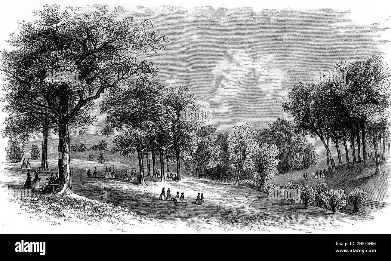 Scene in the Valley of Mill Cove Brook, Vassar College, 1867. Stock Photo